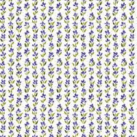 dsStella-DCWR3882 WHITE